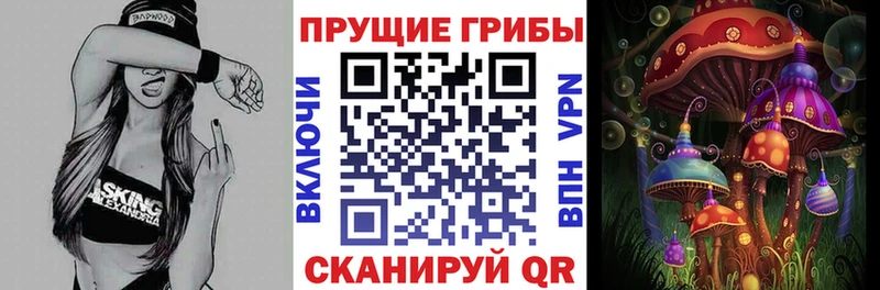 хочу наркоту  Суворов  Псилоцибиновые грибы Magic Shrooms 